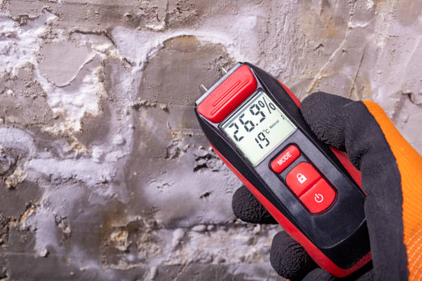Best Attic Mold Removal  in Lake Cherokee, TX