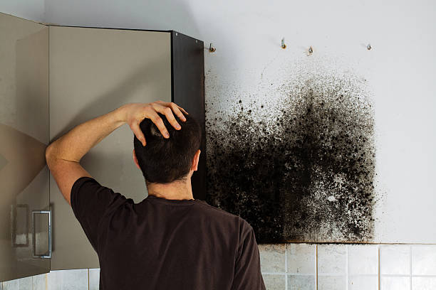Best Same-Day Mold Removal  in Lake Cherokee, TX